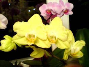 gallery_16155_1026_49255.jpg