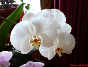 gallery_16155_1026_50471.jpg