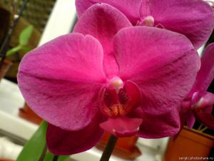 gallery_16155_1026_72751.jpg