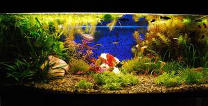 gallery_17056_1027_47644.jpg