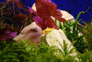 gallery_17056_1027_53104.jpg