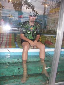 gallery_6172_992_3714878.jpg