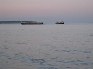 gallery_4512_1020_2429900.jpg