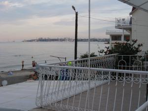 gallery_4512_1020_3433992.jpg