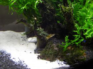gallery_5274_1047_1153398.jpg