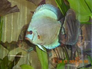 gallery_12999_1048_37675.jpg