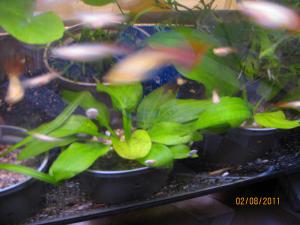 gallery_16430_1054_226258.jpg