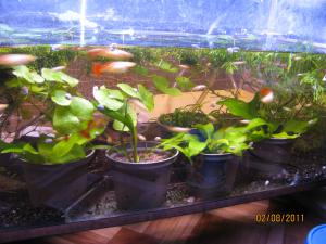 gallery_16430_1054_248767.jpg