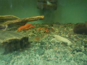 gallery_14870_1071_1518925.jpg