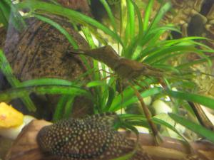 gallery_17933_1090_1209147.jpg