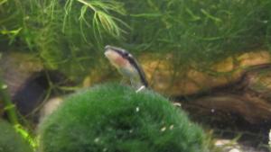 gallery_17933_1090_298946.jpg