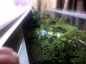 gallery_9450_1093_173355.jpg