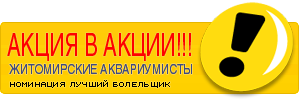gallery_1_1_15252.png