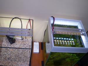 gallery_7840_1098_109915.jpg