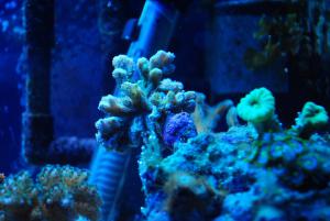 gallery_9883_1100_167762.jpg