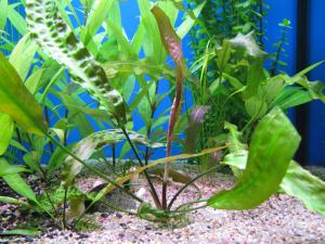 gallery_1419_1103_1401510.jpg