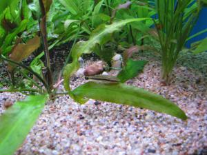 gallery_1419_1103_911159.jpg