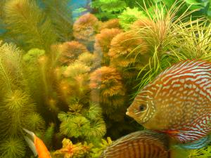 gallery_16155_1114_381221.jpg