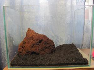 gallery_5545_1035_158379.jpg