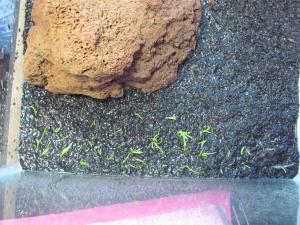 gallery_5545_1035_199410.jpg