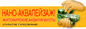 gallery_1_1_15963.png