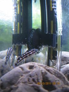 gallery_15405_1107_444632.jpg