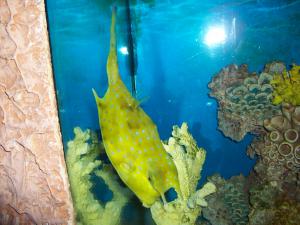 gallery_13340_1125_637101.jpg