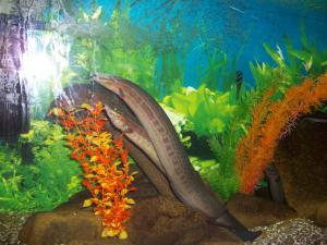 gallery_13340_1125_874082.jpg