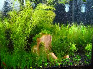 gallery_16511_1128_1573478.jpg
