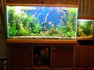 gallery_18062_1127_1037562.jpg