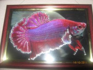 gallery_7576_884_27200.jpg