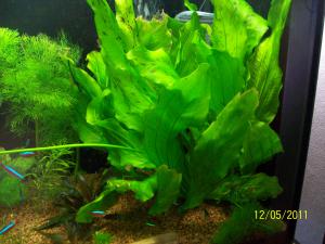 gallery_8011_1132_1077220.jpg