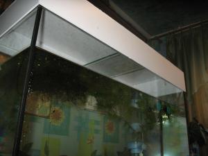 gallery_10800_1135_262826.jpg