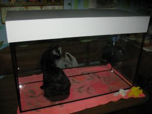 gallery_10800_1135_97263.jpg