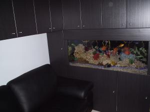 gallery_15173_1133_394931.jpg