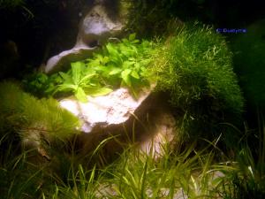gallery_10001_838_182101.jpg