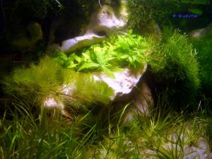 gallery_10001_838_212136.jpg