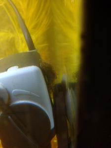 gallery_10001_838_75502.jpg