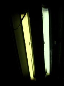 gallery_10001_838_87197.jpg