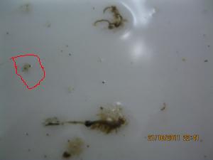 gallery_4756_1142_3815.jpg