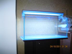 gallery_15405_1143_747770.jpg