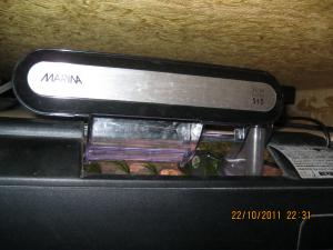 gallery_15405_1144_529160.jpg