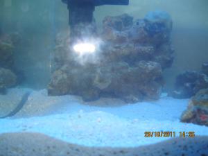 gallery_15405_1143_198623.jpg