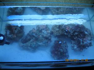gallery_15405_1143_209914.jpg