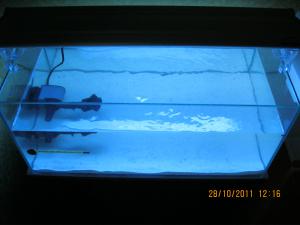 gallery_15405_1143_229162.jpg