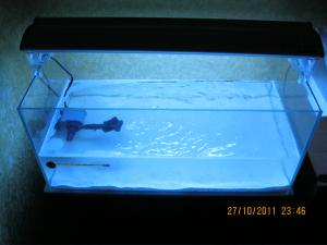 gallery_15405_1143_288639.jpg