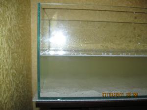 gallery_15405_1143_411227.jpg