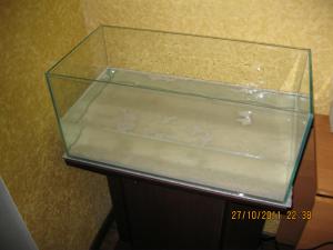 gallery_15405_1143_509247.jpg