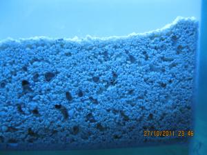 gallery_15405_1143_732346.jpg