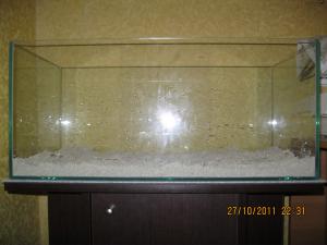 gallery_15405_1143_838068.jpg